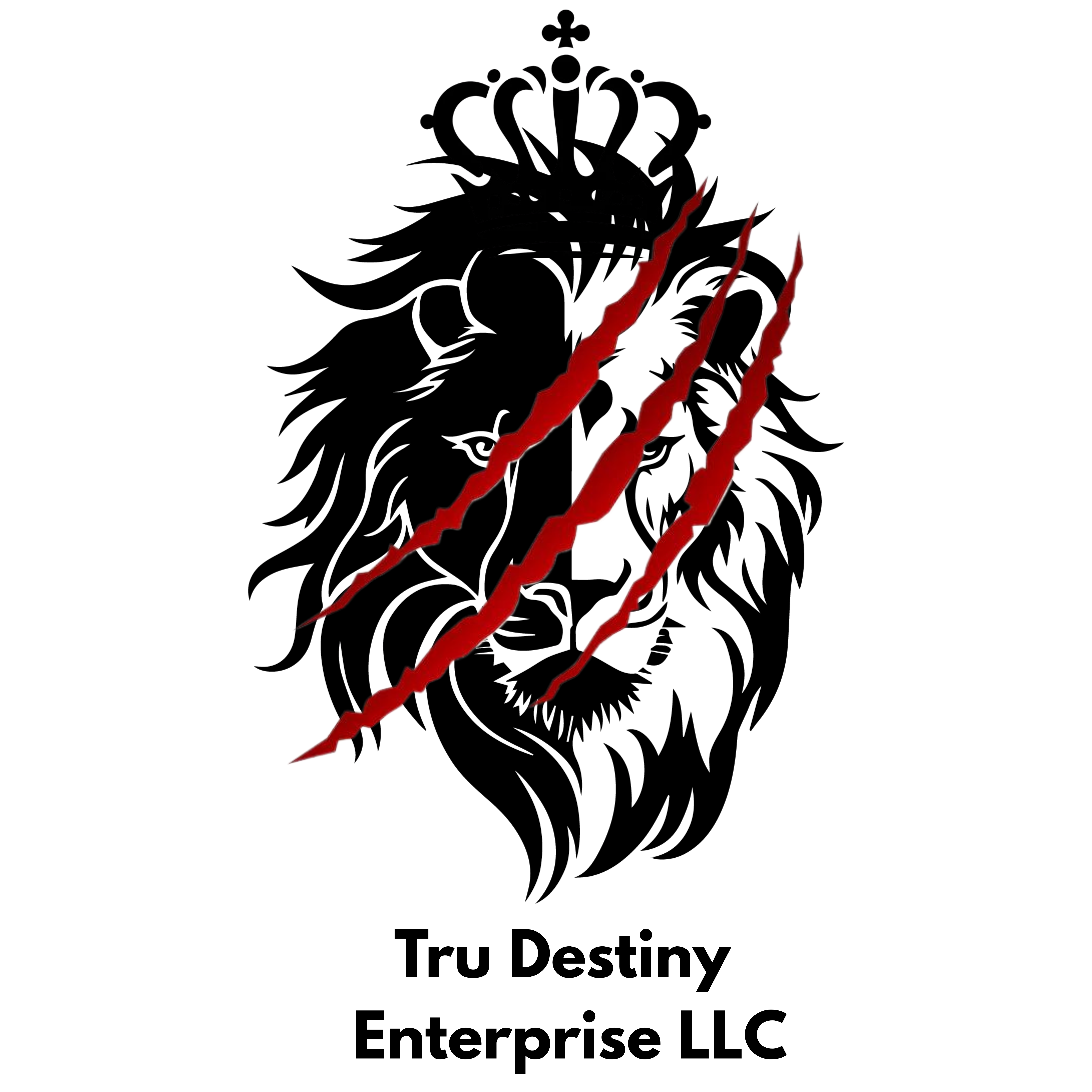 Tru Destiny Logo
